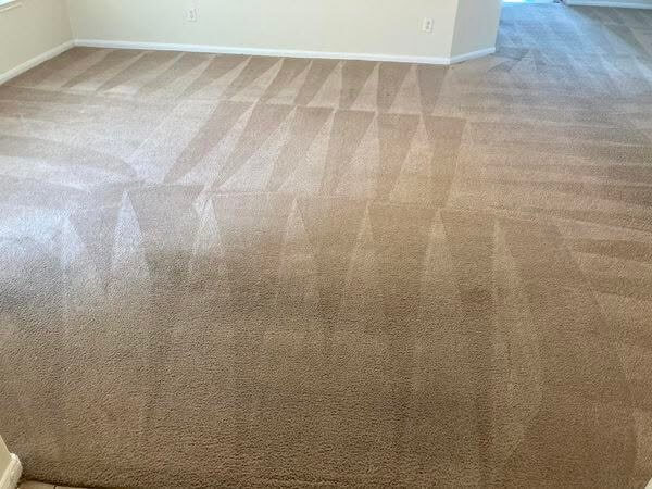 Reliable Carpet Cleaning Services in Houston, TX – Get Your Free Quote Today!