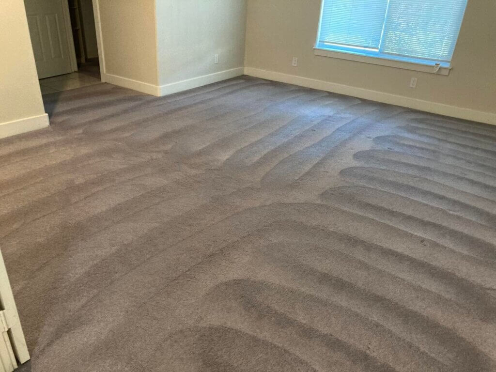Professional Carpet Cleaning Services in Tomball, TX – Get a Free Quote Today!